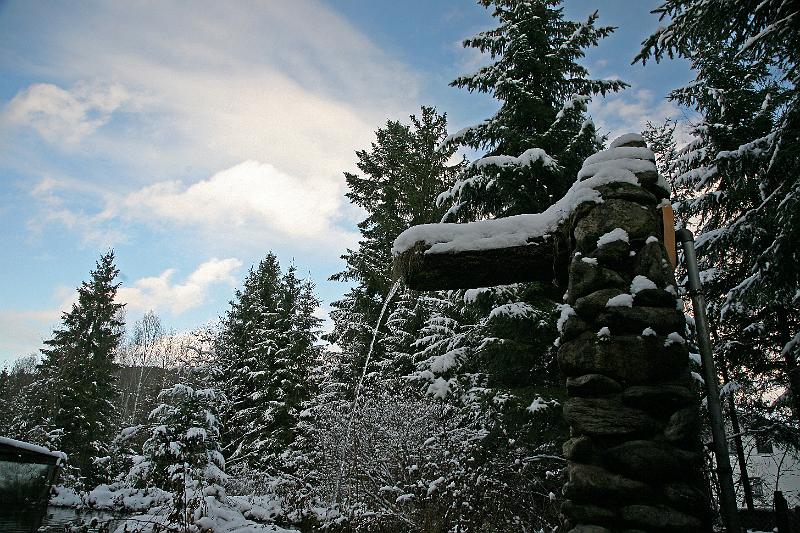 Bayerwald Tierpark_21.jpg